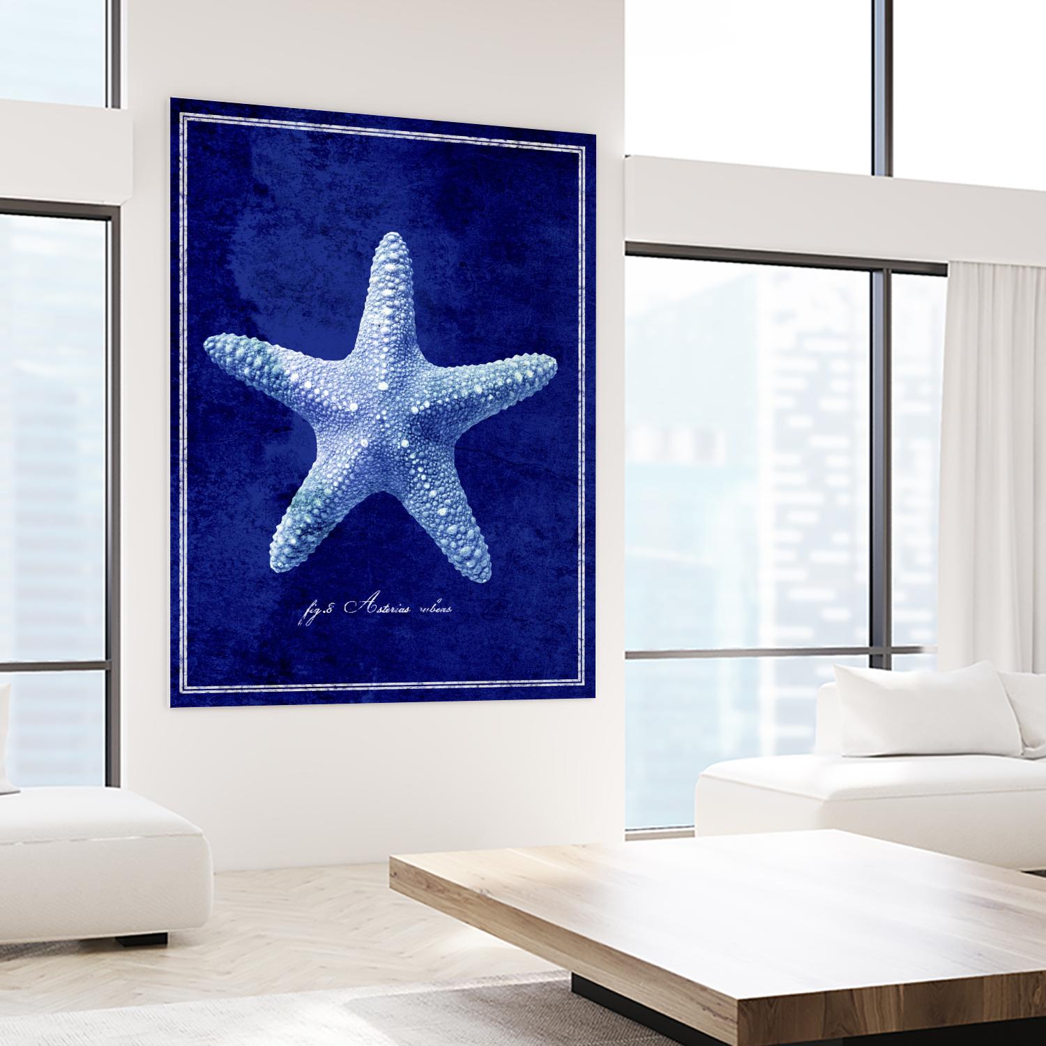 Starfish by GI ArtLab on GIANT ART - blue nautical