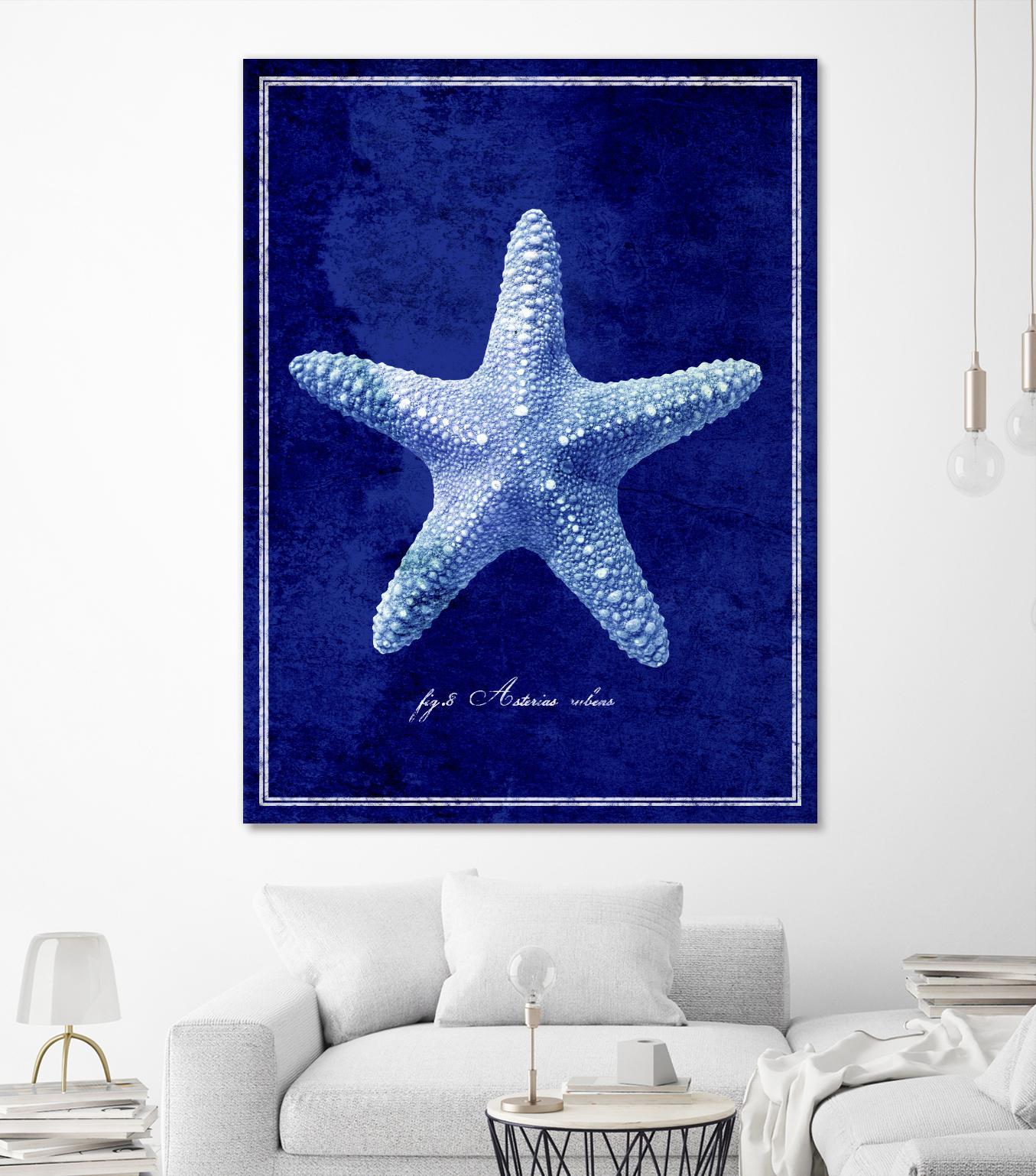 Starfish by GI ArtLab on GIANT ART - blue nautical