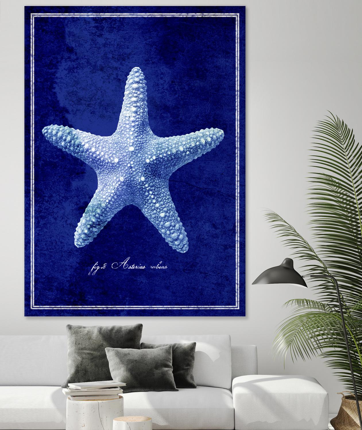 Starfish by GI ArtLab on GIANT ART - blue nautical