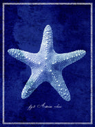 Starfish by GI ArtLab on GIANT ART - blue nautical