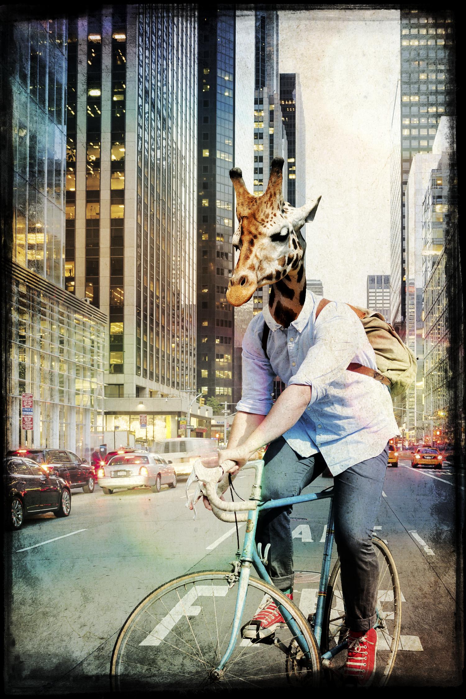 Giraffe on a Bike by GI ArtLab on GIANT ART - black contemporary