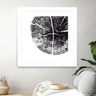 Chopped 57 by GI ArtLab on GIANT ART - black contemporary