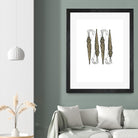 Umbrella Group 1 by Harvey, Brenna Harvey on GIANT ART - black still life fashion