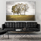 Three Trees by Lillis Werder on GIANT ART - gold landscape