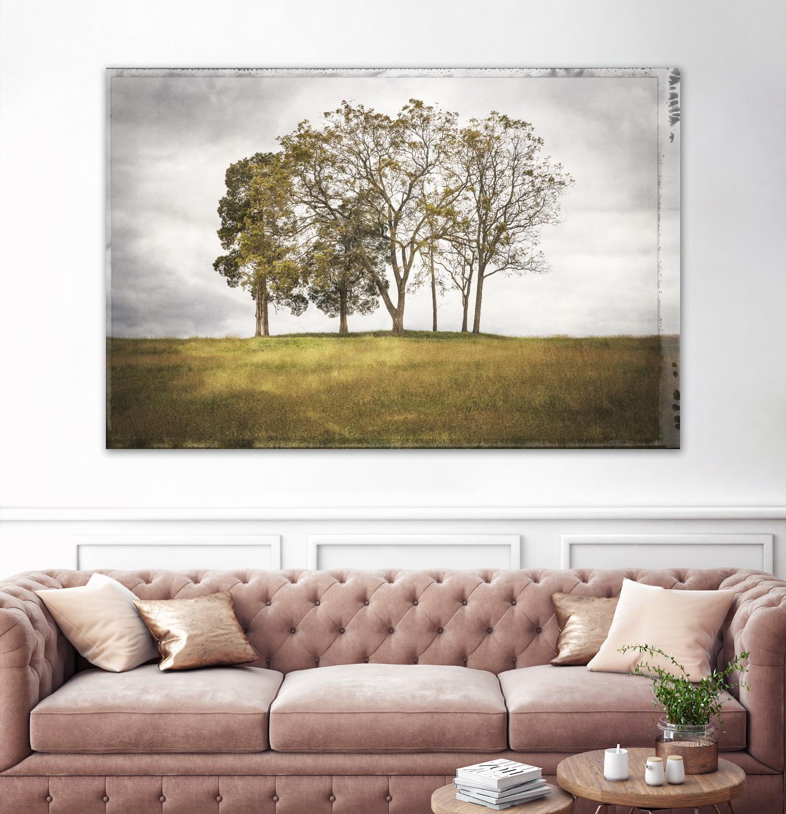 Three Trees by Lillis Werder on GIANT ART - gold landscape