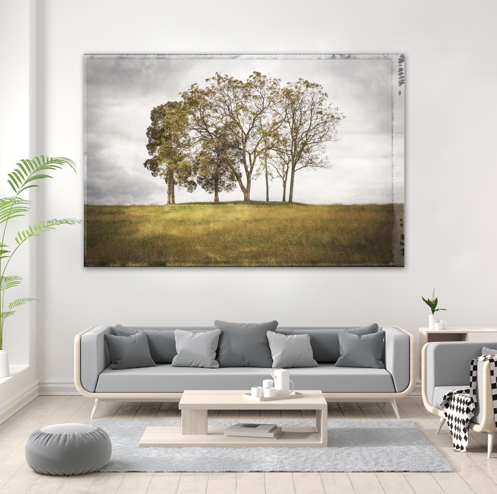 Three Trees by Lillis Werder on GIANT ART - gold landscape
