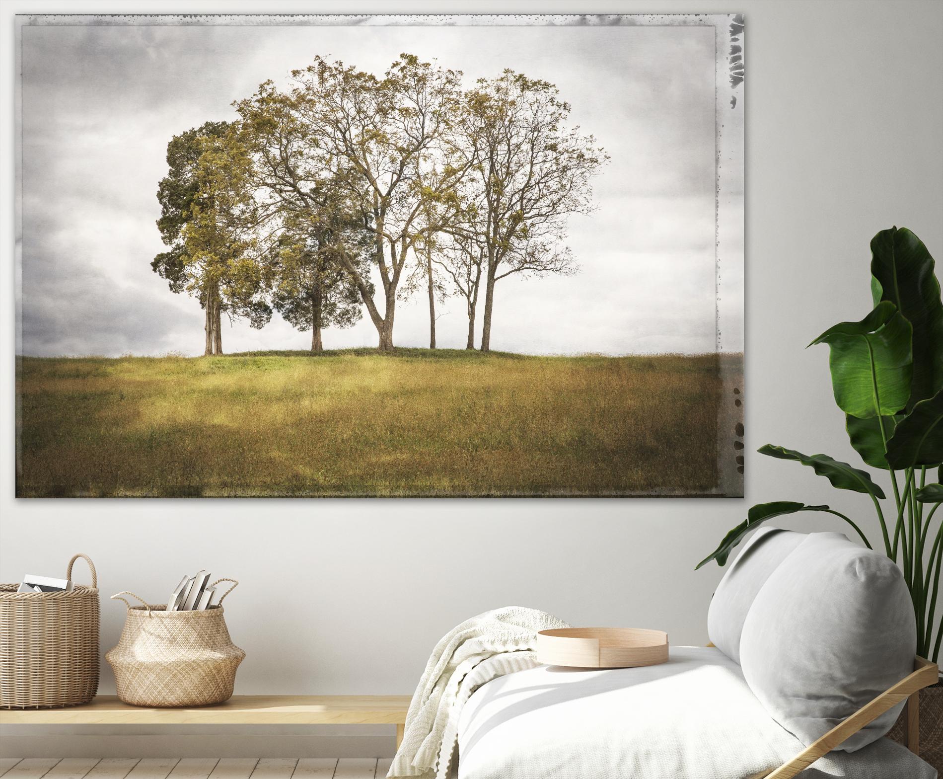 Three Trees by Lillis Werder on GIANT ART - gold landscape