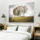Three Trees by Lillis Werder on GIANT ART - gold landscape