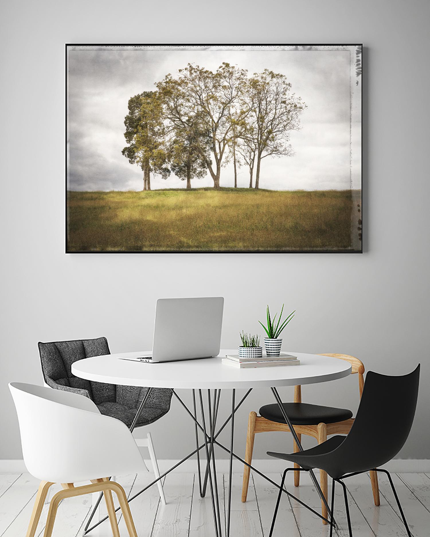 Three Trees by Lillis Werder on GIANT ART - gold landscape