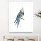 Bird 1 by Harvey, Brenna Harvey on GIANT ART - blue animal bird