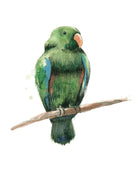 Bird 3 by Harvey, Brenna Harvey on GIANT ART - green animals bird