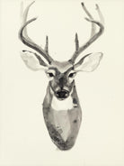 Watercolor Deerhead 2 by Gordon, Ben Gordon on GIANT ART - black animals deer