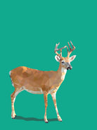 Fractal Deer by THE Studio on GIANT ART - green contemporary