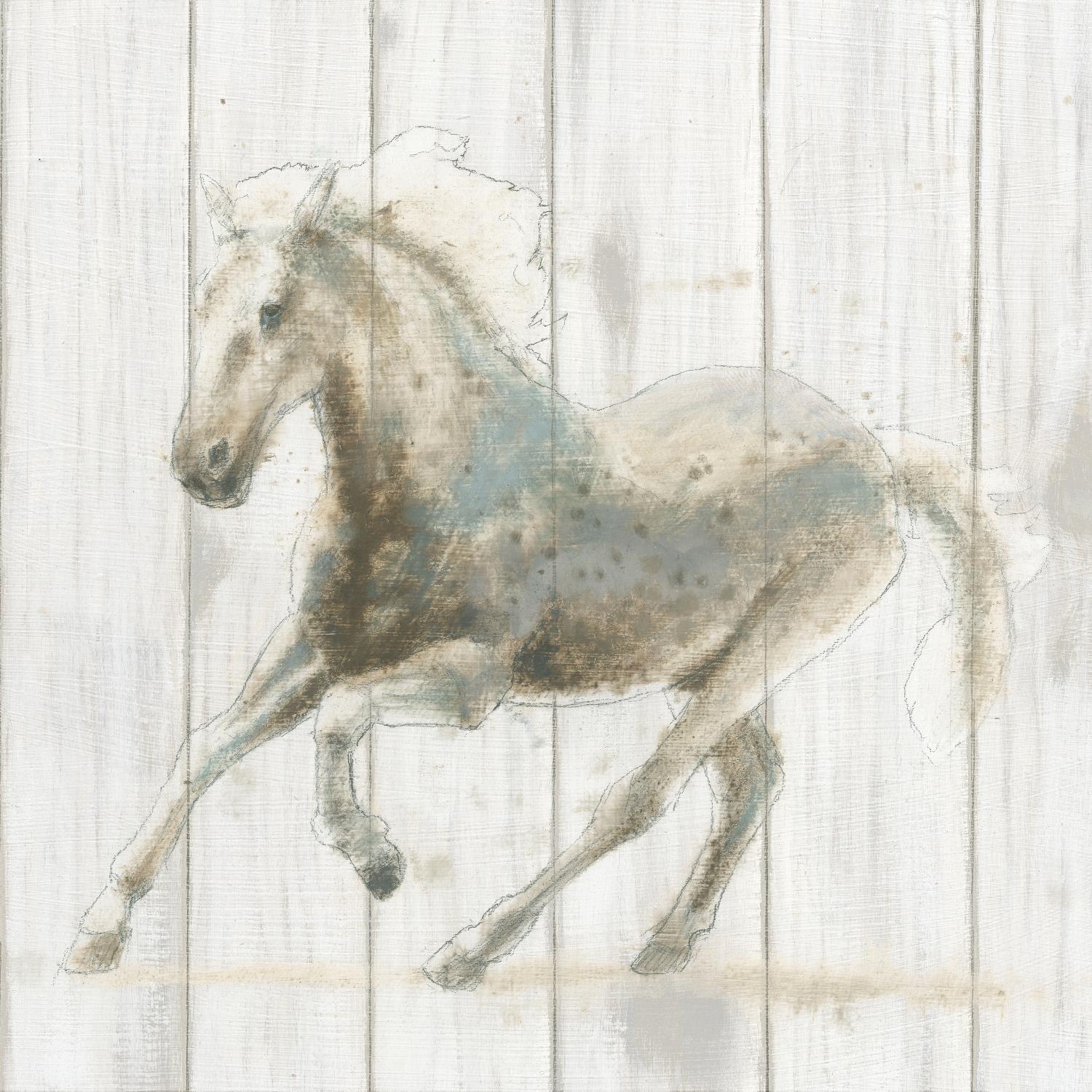 Stallion II on Birch by James Wiens on GIANT ART - grey animals