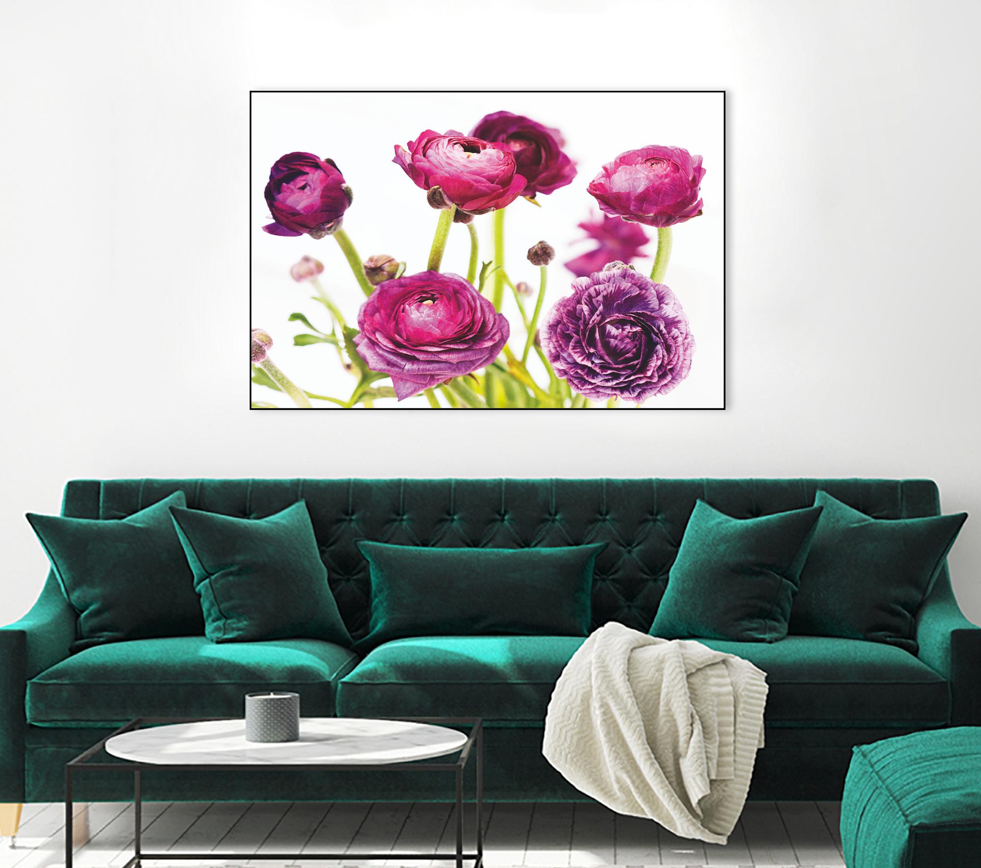 Spring Ranunculus III by Laura Marshall on GIANT ART - green floral