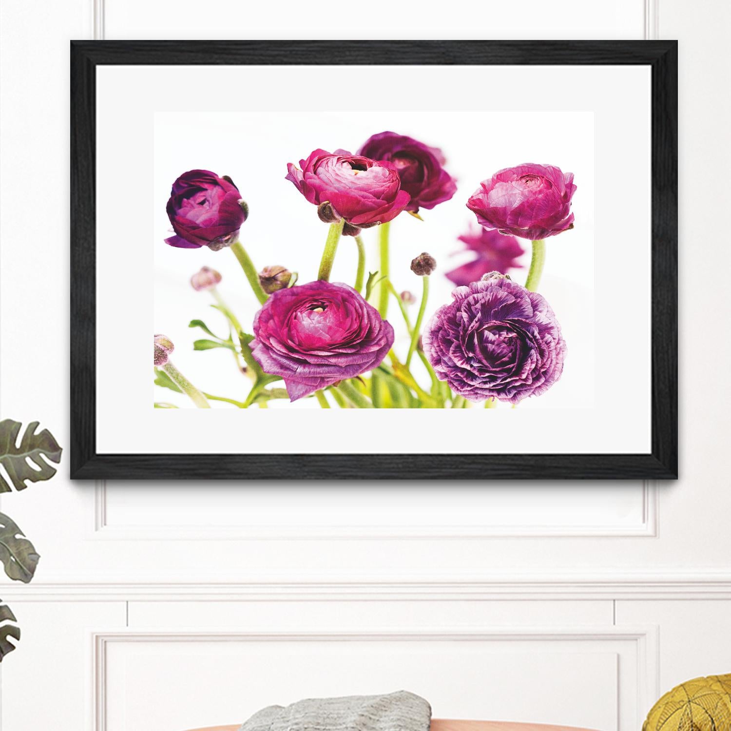 Spring Ranunculus III by Laura Marshall on GIANT ART - green floral