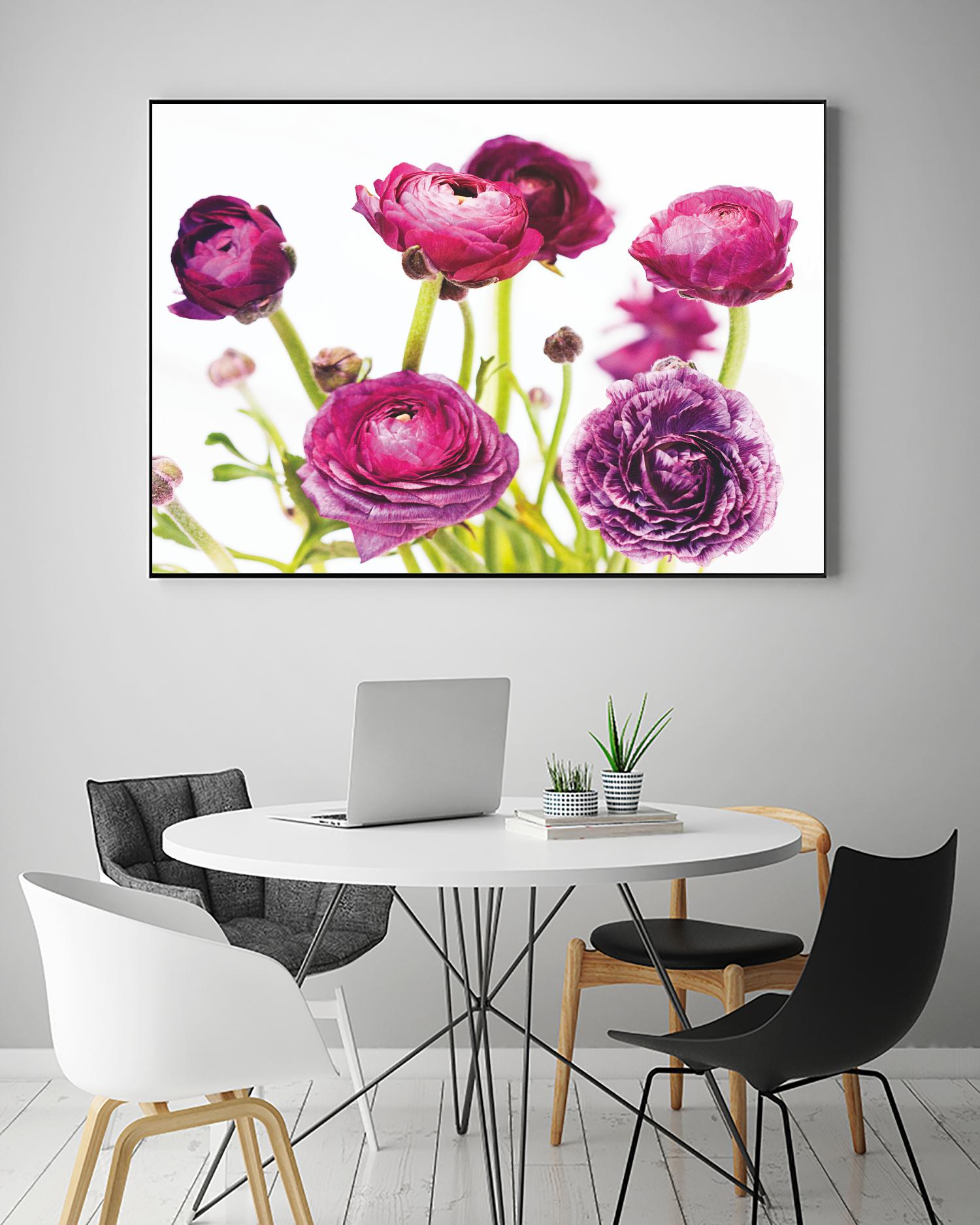 Spring Ranunculus III by Laura Marshall on GIANT ART - green floral