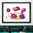 Spring Ranunculus III by Laura Marshall on GIANT ART - green floral