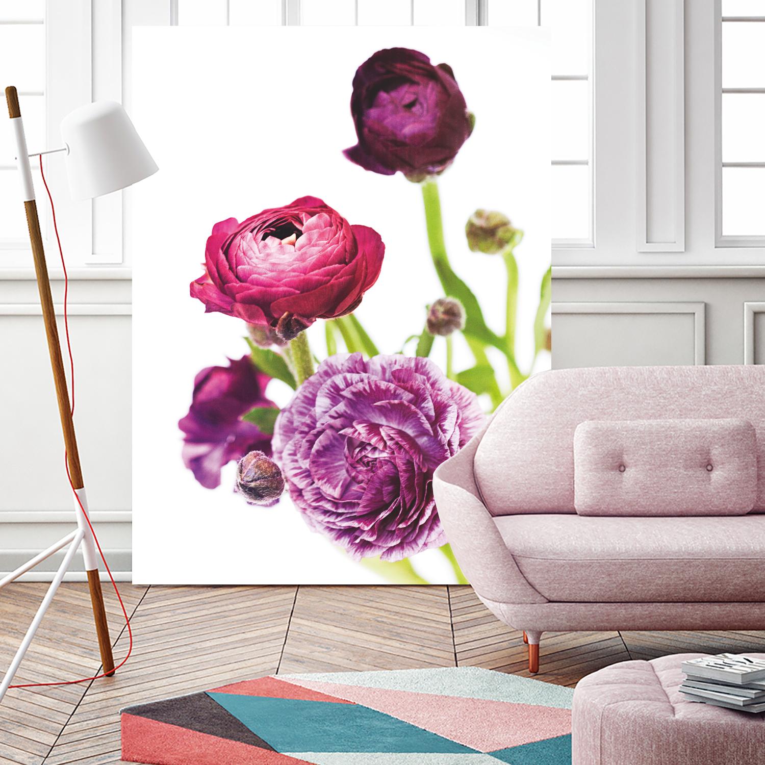 Spring Ranunculus VI by Laura Marshall on GIANT ART - green floral