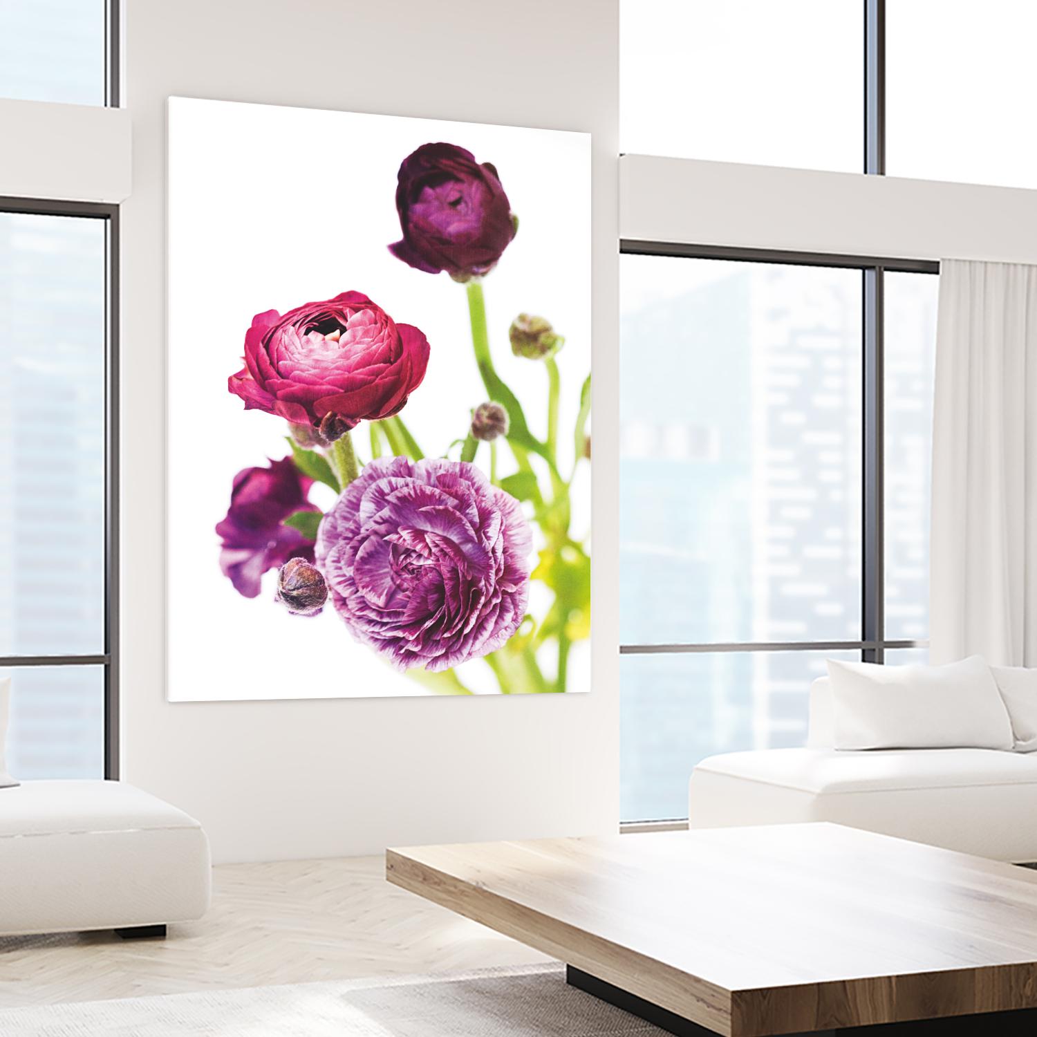 Spring Ranunculus VI by Laura Marshall on GIANT ART - green floral