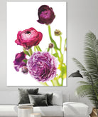 Spring Ranunculus VI by Laura Marshall on GIANT ART - green floral