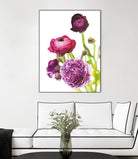 Spring Ranunculus VI by Laura Marshall on GIANT ART - green floral
