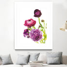 Spring Ranunculus VI by Laura Marshall on GIANT ART - green floral
