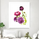 Spring Ranunculus VI by Laura Marshall on GIANT ART - green floral