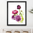 Spring Ranunculus VI by Laura Marshall on GIANT ART - green floral