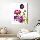 Spring Ranunculus VI by Laura Marshall on GIANT ART - green floral