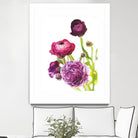 Spring Ranunculus VI by Laura Marshall on GIANT ART - green floral
