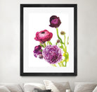 Spring Ranunculus VI by Laura Marshall on GIANT ART - green floral