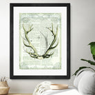 Regal Antlers on Newsprint I by Sue Schlabach on GIANT ART - brown country look