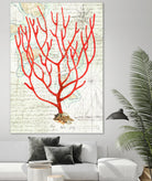 Textured Coral I by Avery Tillmon on GIANT ART - beige nautical