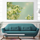 Spring Beauty I by Sue Schlabach on GIANT ART - white floral