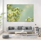 Spring Beauty I by Sue Schlabach on GIANT ART - white floral