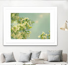 Spring Beauty I by Sue Schlabach on GIANT ART - white floral