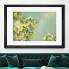 Spring Beauty I by Sue Schlabach on GIANT ART - white floral