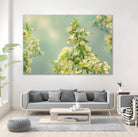 Spring Beauty II by Sue Schlabach on GIANT ART - white floral