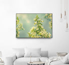 Spring Beauty II by Sue Schlabach on GIANT ART - white floral