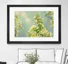Spring Beauty II by Sue Schlabach on GIANT ART - white floral