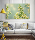 Spring Beauty II by Sue Schlabach on GIANT ART - white floral