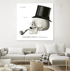 Dandy Bones II by Sue Schlabach on GIANT ART - white vintage