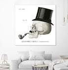 Dandy Bones II by Sue Schlabach on GIANT ART - white vintage