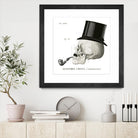 Dandy Bones II by Sue Schlabach on GIANT ART - white vintage