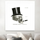 Dandy Bones III by Sue Schlabach on GIANT ART - white vintage