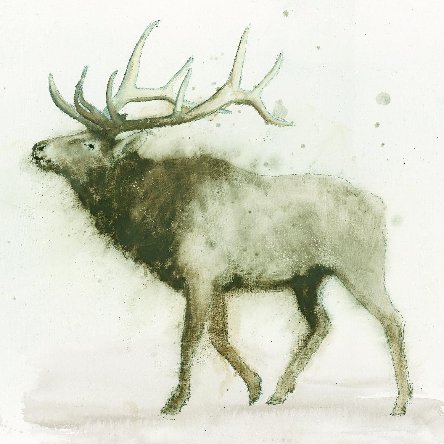 Elk 2 by James Wiens on GIANT ART - brown animals