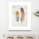 Natural Flora XI Bold Feathers by Danhui Nai on GIANT ART - beige contemporary