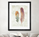 Natural Flora XI Bold Feathers by Danhui Nai on GIANT ART - beige contemporary