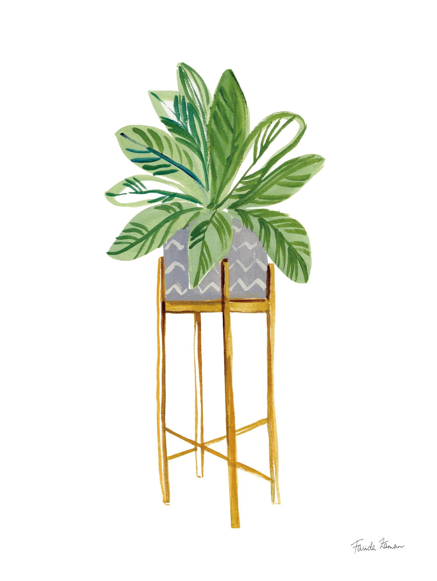 Green House Plants I by Farida Zaman on GIANT ART - botanical gray